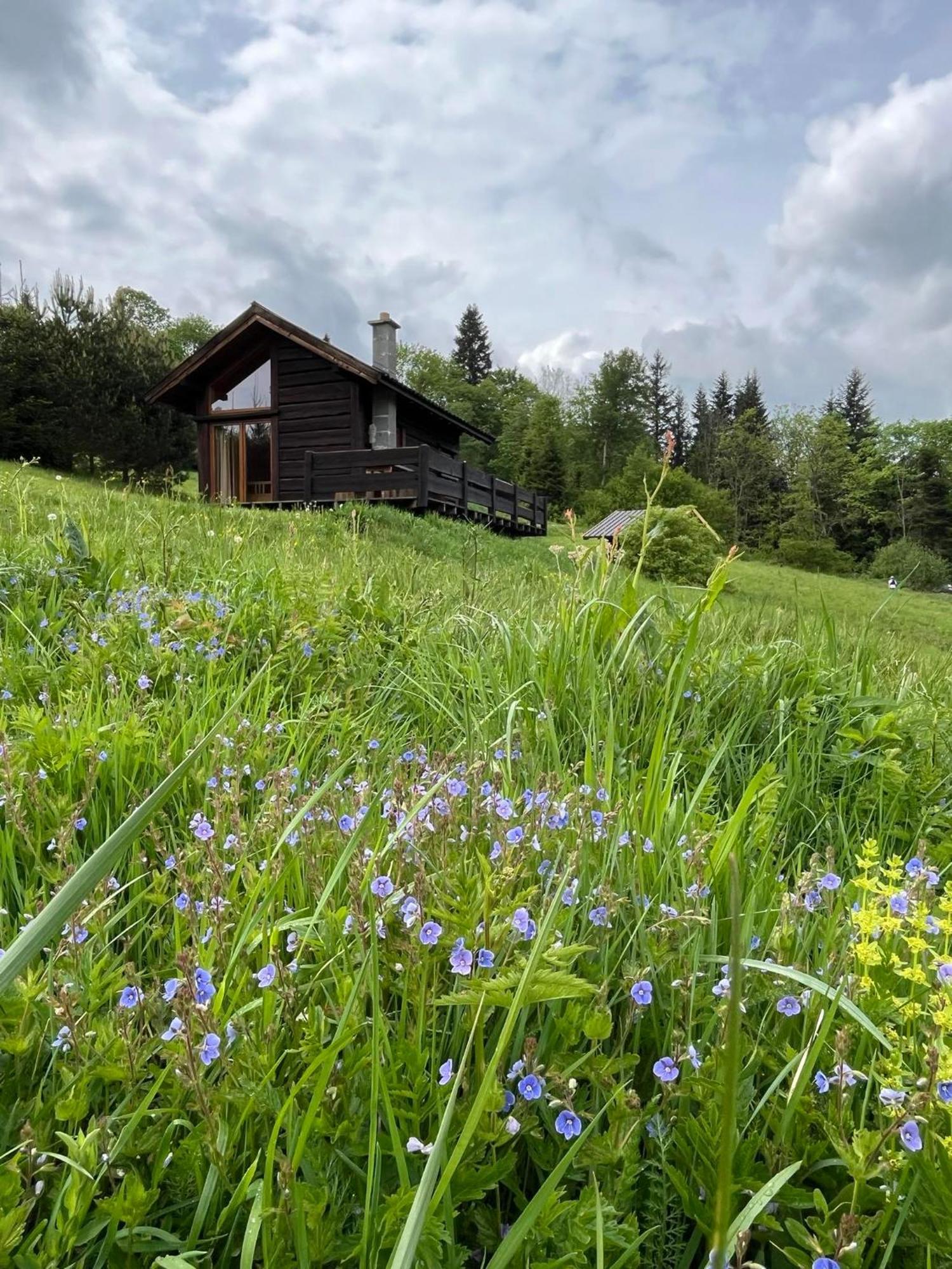 Pod Dobrym Adresem-Domek Na Lace Cisna Exterior foto